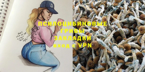 спайс Богородицк