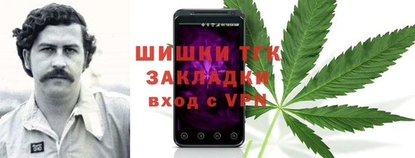 спайс Богородицк