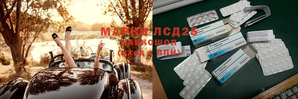 индика Белоозёрский
